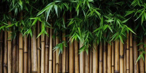 Zelfklevend Fotobehang Tropical bamboo wall with wood texture, close-up. Flat lay, top view, copy space. © Vusal