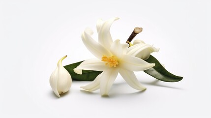 vanilla flower for food catalog Ai Generative
