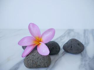 Asians flowers with river stone isolated on white background