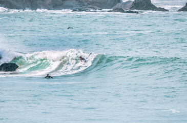 San Francisco, California, USA - October 23, 2021, A surfer rides a wave with cliffs in the background in San Francisco.