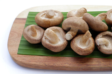 Fresh shiitake mushrooms on white background.