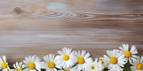 Obraz premium Chamomile flowers on wood background, space for text.