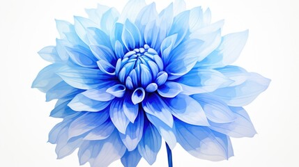 Obraz premium Blue flower close up on a plain white background. Suitable for floral designs and nature-themed projects