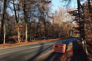 Hunting warning sign on forest road in Fontainebleau forest - 693351438