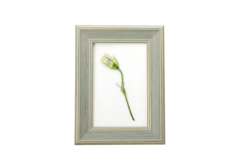 PNG, Herbarium and wooden photo frame, isolated on white background