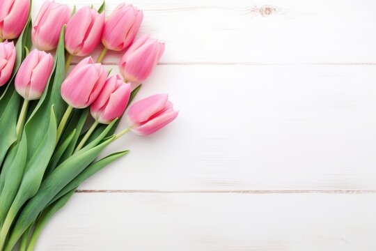 spring flowers Pink tulips on a white wooden background Flat lay top view, copy space