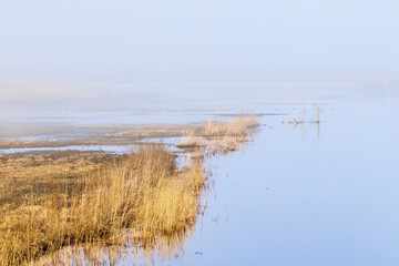 Floodland by a river a mist spring morning