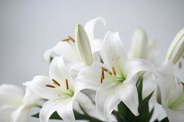Fototapeta premium White lilies closeup. Nature leaf spring blossom natural flora. Generate Ai