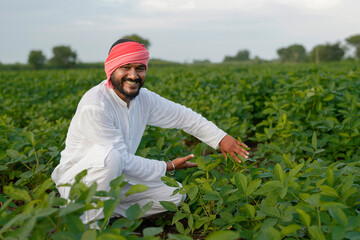 indian farmer at farm field