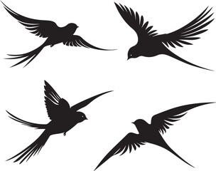 set of silhouettes of bird swallow on white background