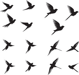set of silhouettes of bird swallow on white background