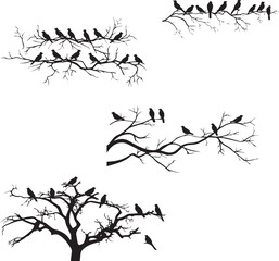 Black silhouette of birds on the tree sitting on white background