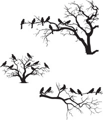 Black silhouette of birds on the tree sitting on white background