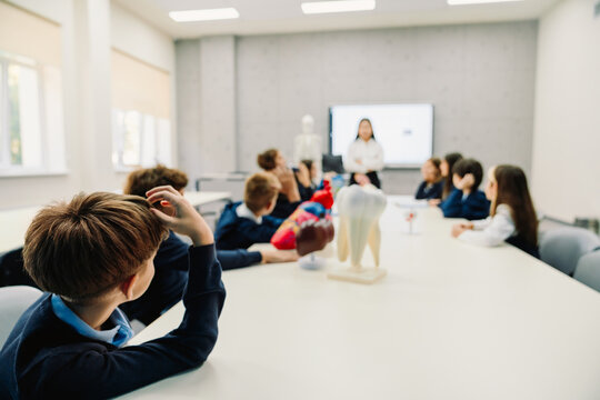 Group of school children examining tooth model during anatomy lesson in classroom - Powered by Adobe