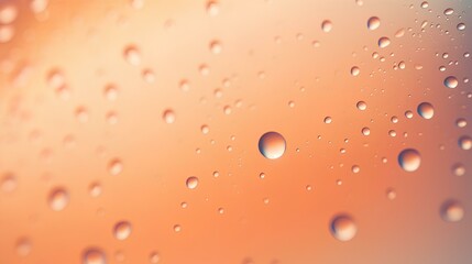 Drops of water, dew or rain on a peach-colored background. - obrazy, fototapety, plakaty