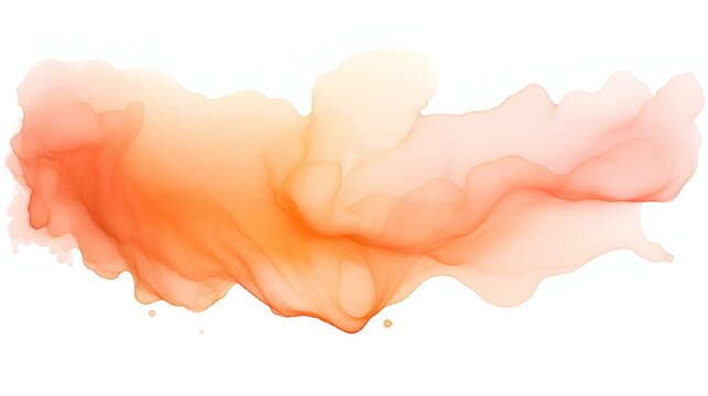 Watercolor peach blob on a white background.