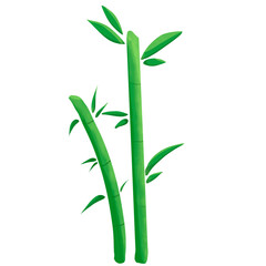 bamboo isolated on white background