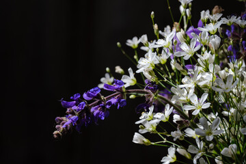 bouquet of blooming spring flowers on a black background