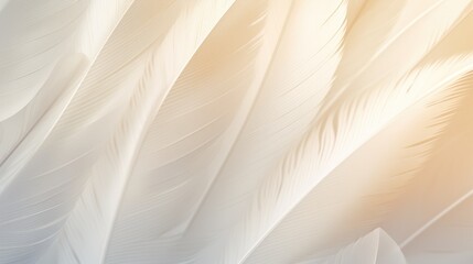 A detailed close-up view of a collection of white feathers. Can be used for various creative projects