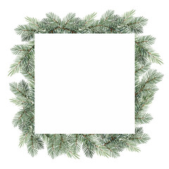 Fototapeta na wymiar watercolor square frame with coniferous branches, Christmas tree, hand drawn sketch of green fir branches, natural pine branch on white background, natural forest tree illustration
