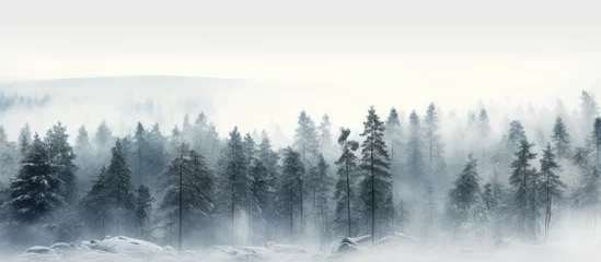 Crédence de cuisine en verre imprimé Matin avec brouillard Norwegian woods in winter with misty pine trees.