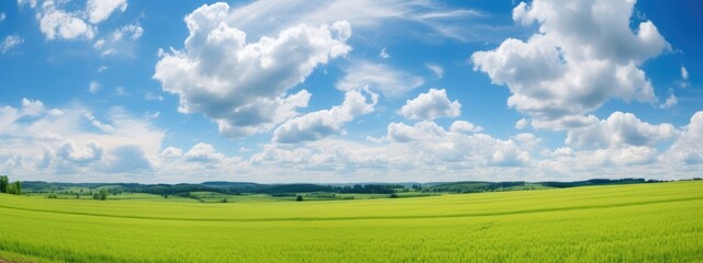 Panorama green field of cut grass into and blue sky with clouds on horizon.