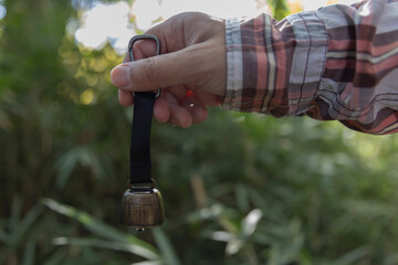 A bear bell with hand at the green forest in Autumn
