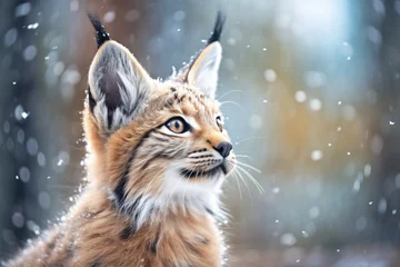 Gordijnen lynx with bright eyes during a snowfall © studioworkstock