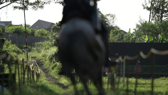 Horse riders are practicing archery on horseback