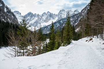 Tarvisio. Riofreddo valley in winter. At the foot of the Julian Alps