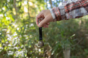 A bear bell with hand at the green forest in Autumn