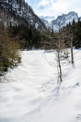 Tarvisio. Riofreddo valley in winter. At the foot of the Julian Alps