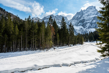 Tarvisio. Riofreddo valley in winter. At the foot of the Julian Alps