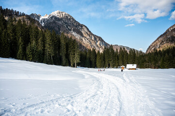 Tarvisio. Riofreddo valley in winter. At the foot of the Julian Alps