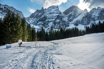 Tarvisio. Riofreddo valley in winter. At the foot of the Julian Alps