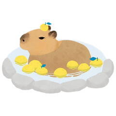 柚子湯につかるカピバラのイラスト