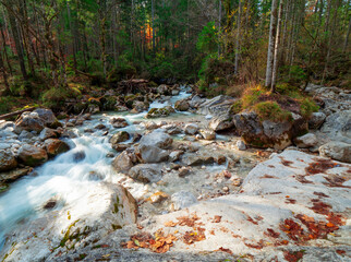 Bavarian wild creek water flow with surrounding autumn forest scene