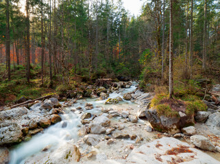 Berchtesgaden Zauberwald wild creek water flow with surrounding autumn forest scene