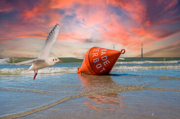 Buoy with seagull North Sea beach.