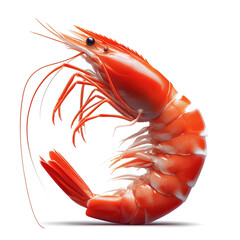 red shrimp transparent background - obrazy, fototapety, plakaty