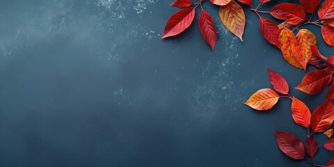 colorful autumn leaves on water top view copy space 