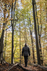 Wanderin im Herbstwald