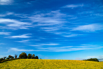 しがらきと青空