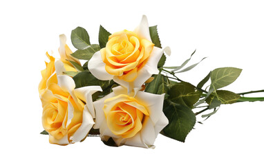 Yellow White Rose Harmony Bouquet on a White or Clear Surface PNG Transparent Background