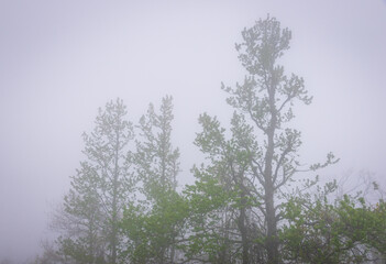 Talimena Scenic Drive, National Scenic Byway