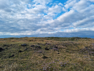 Fototapeta premium This is the autumn scenery of Seopjikoji, Jeju Island.
