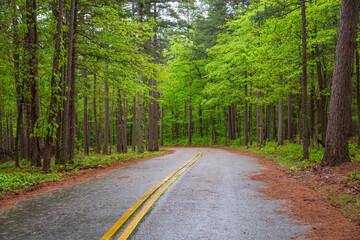 Winding Road at Talimena Scenic Drive, National Scenic Byway