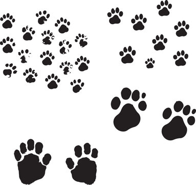 Dog foot prints vector set Isolated on white background