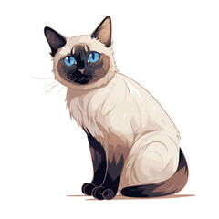 Siamese cat sitting on a white background. Vector illustration.