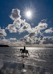 Horse and rider on the beach at low tide